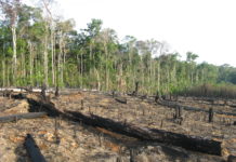 Eine EU im Zwist mit sich selbst, aber einig mit dem Mercosur