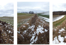 Klarstellungen zur neuen Pufferstreifenpflicht