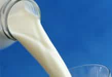 Milchmarkt Sept./Okt. ’24: Spotmarkt Verona stieg auf 67,50 Cent/kg