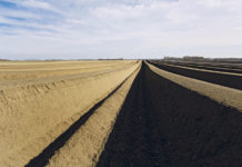 Spargelbauern hoffen auf höhere Temperaturen