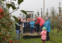 So schaut‘s aus am Bauernhof: Bauern öffnen ihre Hoftore
