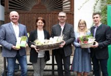 Der „König des Gemüses“ sprießt jetzt wieder