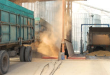 Polen lässt ukrainischen Getreidetransit wieder zu Getreidelieferung