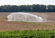 Brauchwasser-Lagune für Bauern
