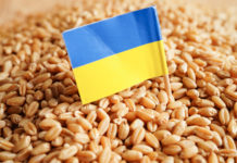 Wachsender Unmut über ukrainische Agrarimporte