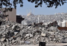 Nach Erdbeben ein Fünftel weniger Agrarprodukte