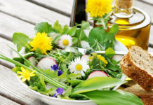 Da haben wir den Salat