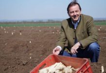 Im Seewinkel gibt es frischen Spargel