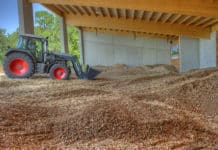 Biomasse bleibt nun grün