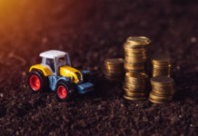 Steigerung bei bäuerlichen Einkommen im Jahr 2022