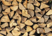 Biomasse: Erneuerbare Energie mit Zukunft