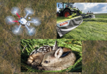 Kitz- und Wildrettung mit Drohnentechnologie