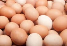 Eier sind heuer zu Ostern ein rares Gut