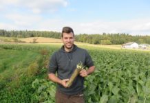 Was wäre die Osterjause ohne Kren?