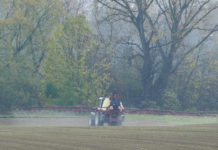 Pflanzenschutz: Bewältigung der Ernährungssicherheit mit oder ohne?