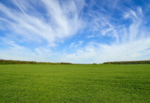 Feldtag Saatbau Linz in Weikendorf am 14. Juni