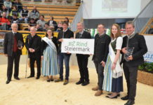 Taktgeber in der Rinderzucht