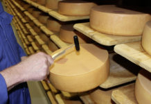 Vorarlbergs Sennereien setzen auf Vielfalt, Regionalität und Qualität