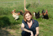 Hühner unter PV-Strom dürfen Eier aus „Freilandhaltung“ legen