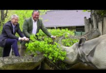 Äste aus dem Wienerwald als Leckerbissen für Nashörner & Co