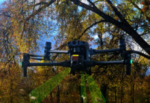 Mit Drohnen und KI auf der Suche nach Wildtieren