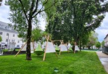 Klimawandel: Wald trägt zur Lösung bei, wenn er richtig genutzt wird