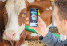 viehworld.com überzeugte bei “2Minuten 2Millionen”