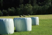 Siloballen: Auf “gut gewickelt” kommt es an