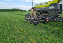 Mit Direktsaat Wasser “konservieren”