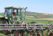 Begrünung: Härter als winterhart