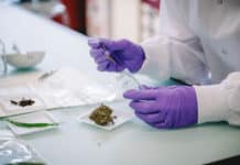 Nestlé macht in Agrarforschung