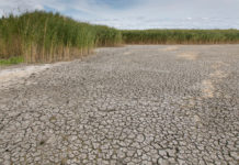 Region Neusiedler See bangt um ihre Zukunft