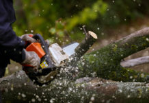 Sägen & Co: Es geht auch mit weniger Lärm