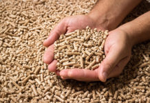 Preise für Holzpellets seit Oktober nahezu halbiert