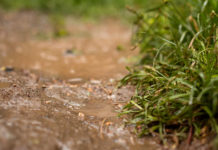 ÖPUL: Fristabweichung nach Regen und Kälte