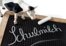 Mehr Geld für Schulobst und -milch