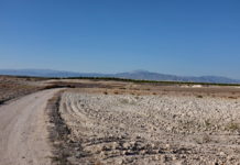 Finanzspritze für Spaniens dürregeplagte Bauern