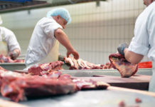 Deutsche Fleischwirtschaft gerät gehörig unter Druck