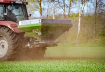 Silizium-Dünger soll Weizenerträge heben