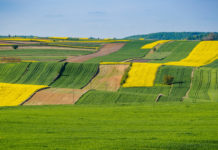 Geldregen für Polens Ackerbauern