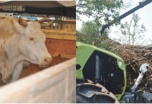 Neues Ausstellungskonzept