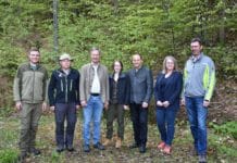 Schutzwaldwoche: Tirols Lebensversicherung bekommt volle Aufmerksamkeit