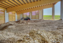 Klimaschutz: Extra-Geld für Gemeinde-Projekte