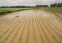 Neben uns die Sintflut