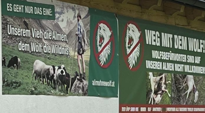 Plakate Wolf