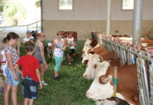 Diese Betriebe öffnen ihr Hoftore