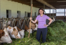 Der Spiegel der Landwirtschaft