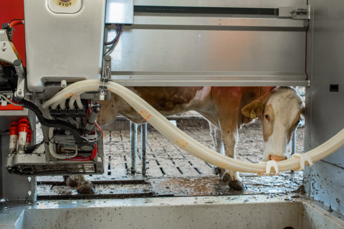 Melkroboter 52 ID72510