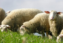 Entschädigungsfrist wird überarbeitet