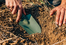 Die Weltneuheit aus Österreich: Finde Deinen Nützling